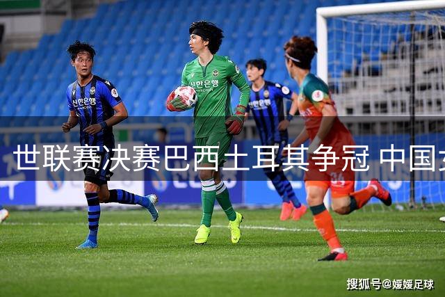 世联赛决赛巴西土耳其争冠 中国女排遭零封暴露技术短板