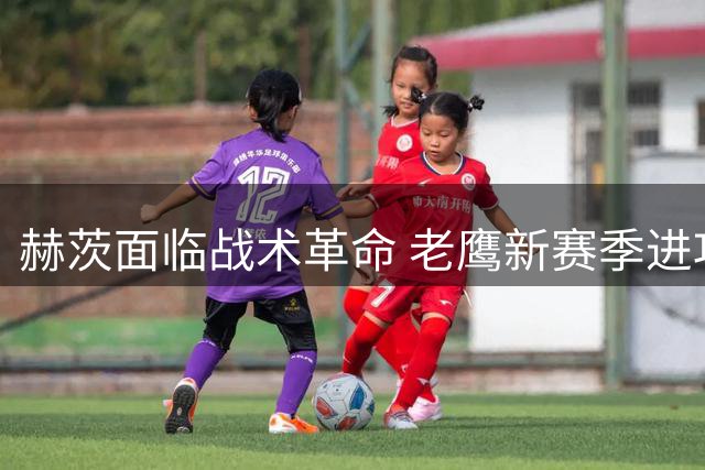 赫茨面临战术革命 老鹰新赛季进攻体系能否破茧成蝶？
