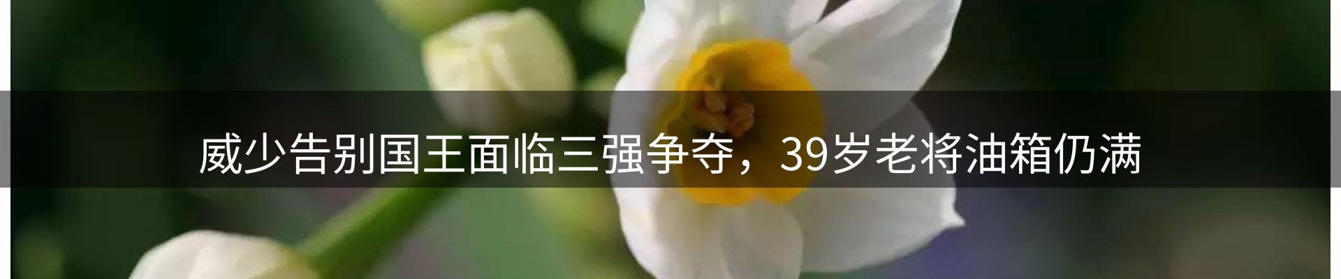 最新资讯