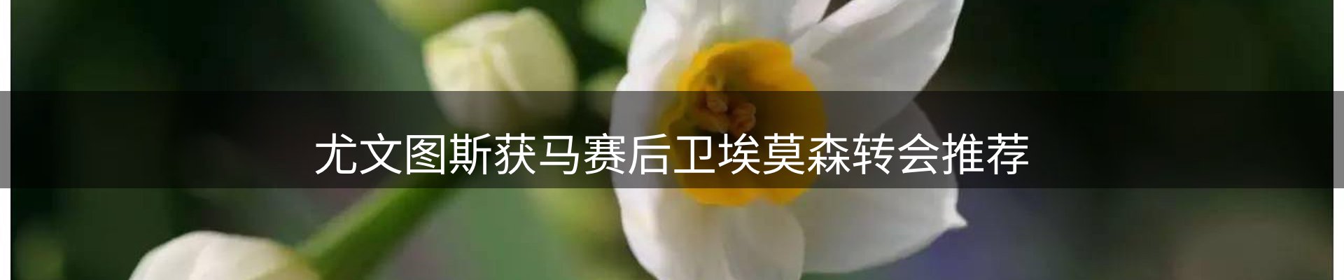 最新资讯