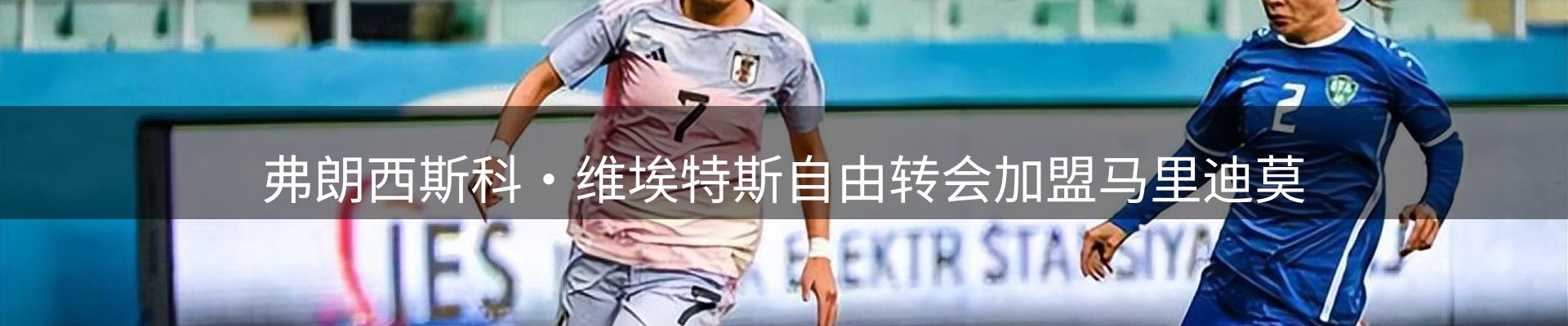 最新资讯