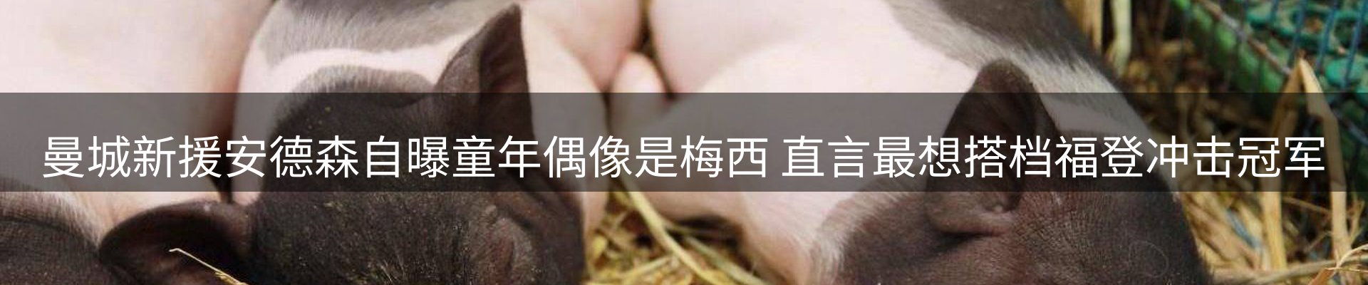 最新资讯