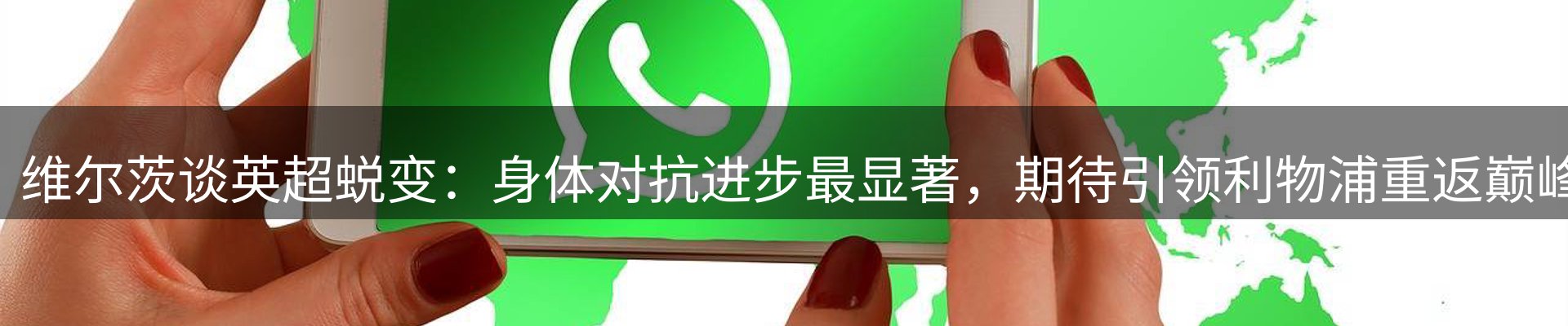资讯解读