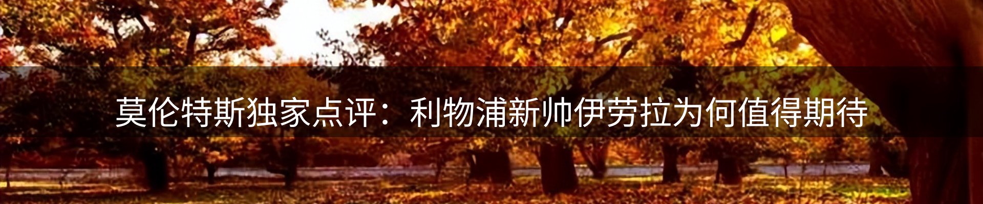 最新资讯